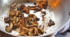 Shaggy Parasol Mushrrooms