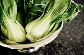 bok choy1