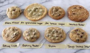 Cookie Science